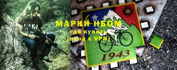 мдпв Карпинск