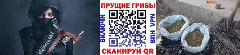 Псилоцибиновые грибы ЛСД  Купить где  Сарапул 